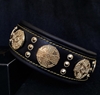 Picture of Bestia Maximus Dog Collar Black & Gold